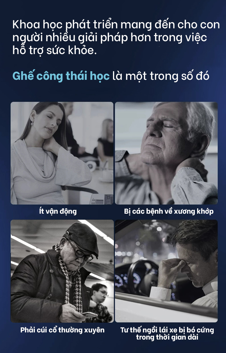 GHẾ CÔNG THÁI HỌC CAO CẤP, GIÁ RẺ NHẤT TP.HỒ CHÍ MÌNH